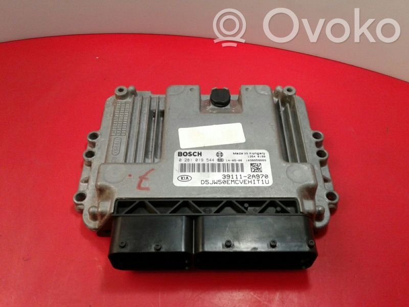 Dzinēja vadības bloks   0281019544,391112A970