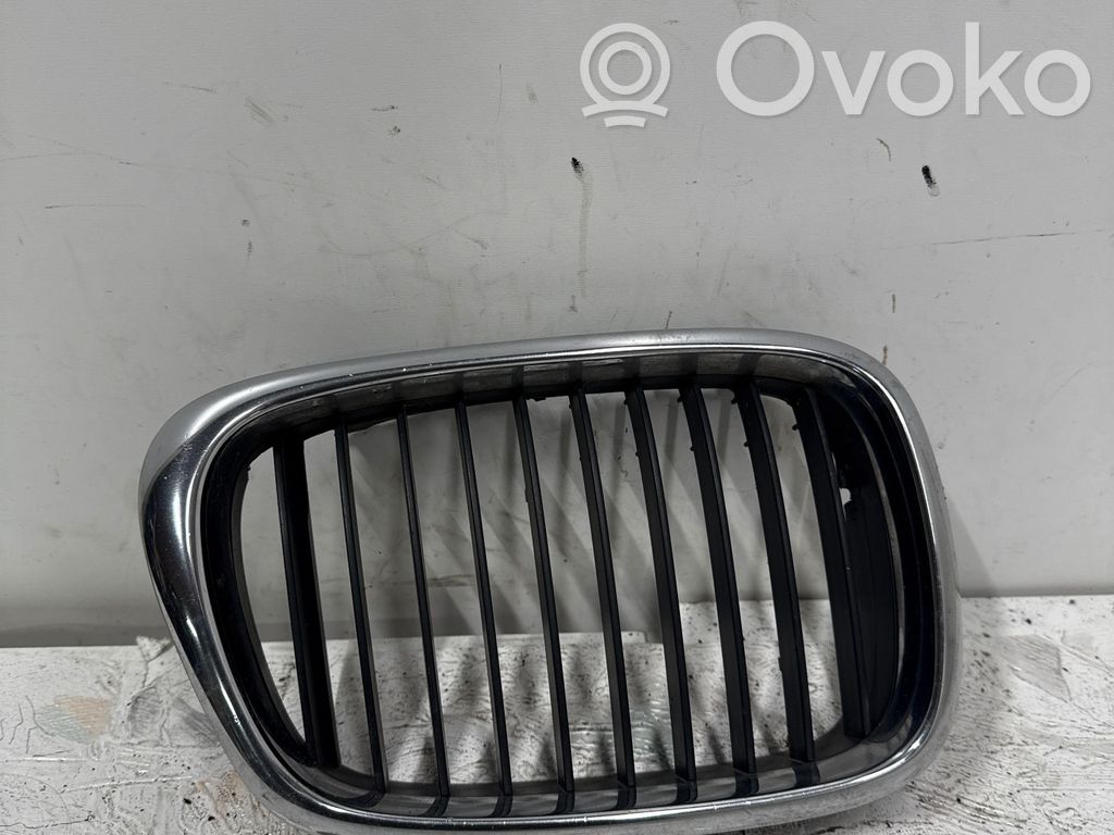 Front grill   81845329