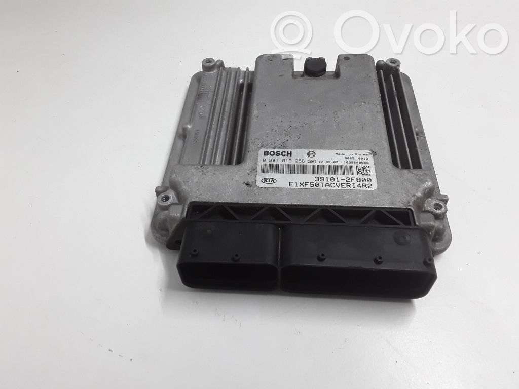 Engine control unit/module   391012F800
