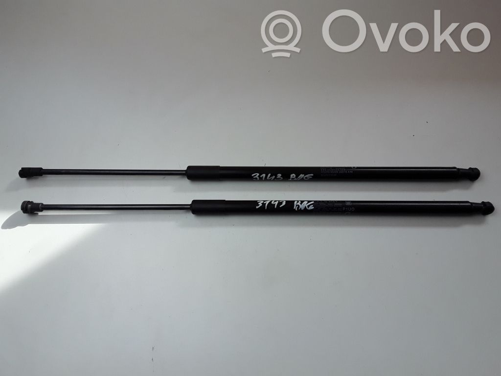 Opel Grandland X Tailgate strut 