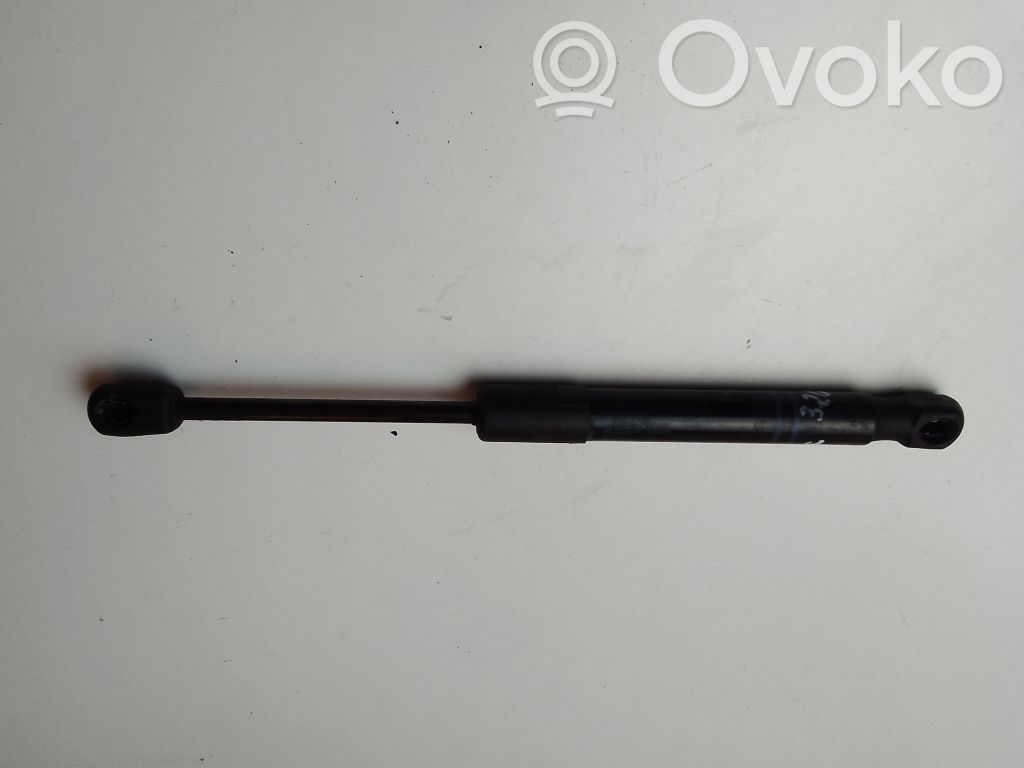 BMW 3 F30 F35 F31 Ammortizzatore portellone anteriore/cofano 