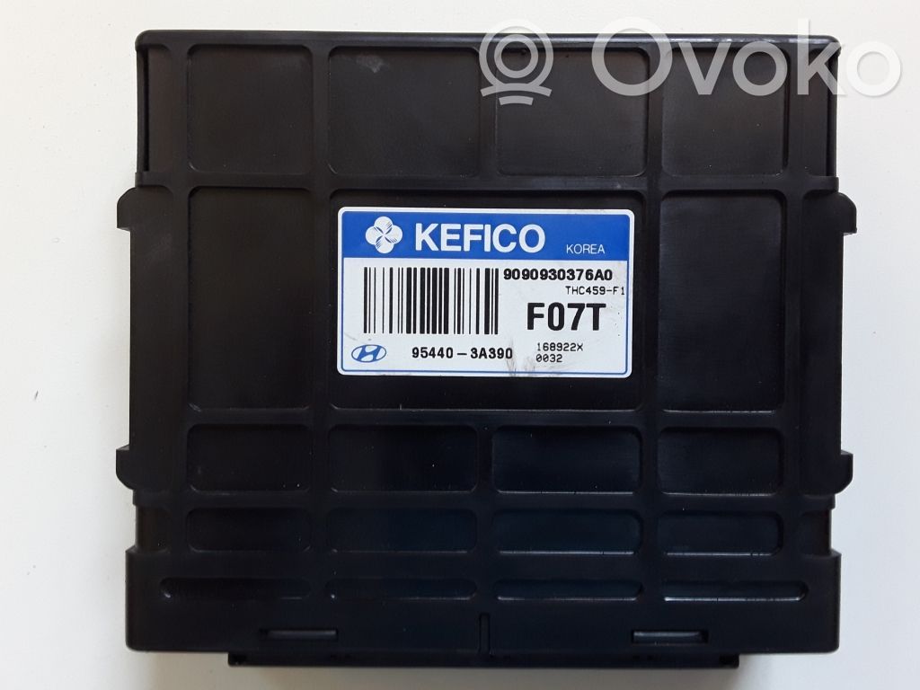 Hyundai Santa Fe Module de contrôle de boîte de vitesses ECU 