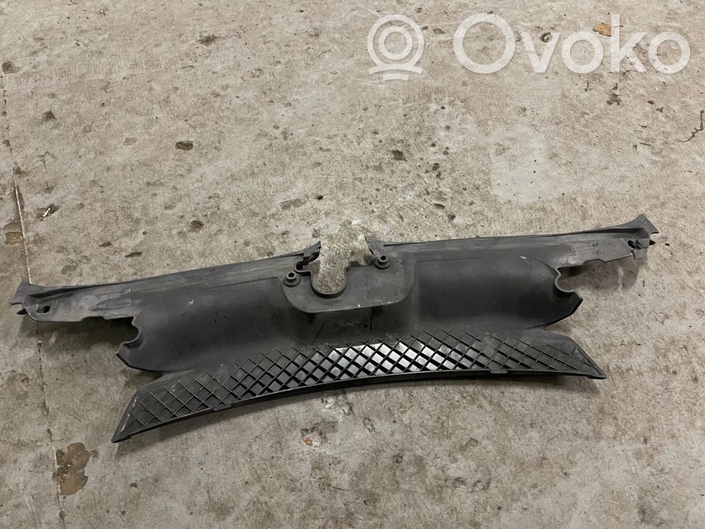 Radiator trim   6539357