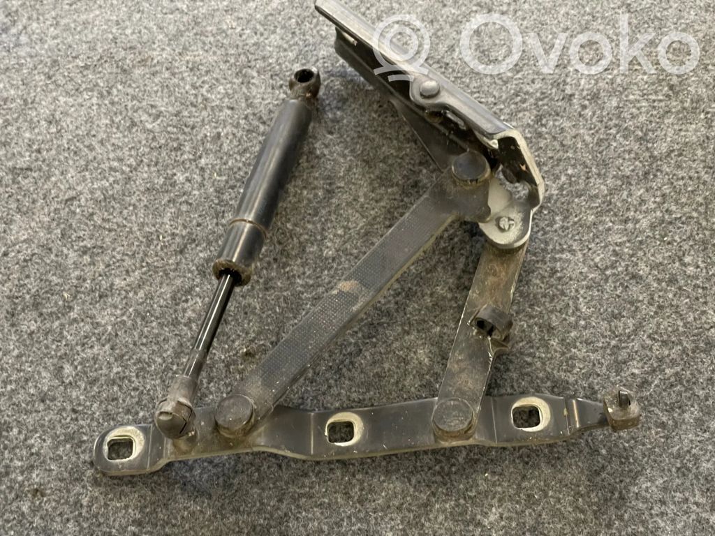 Tailgate/trunk/boot hinge   8397327,4162