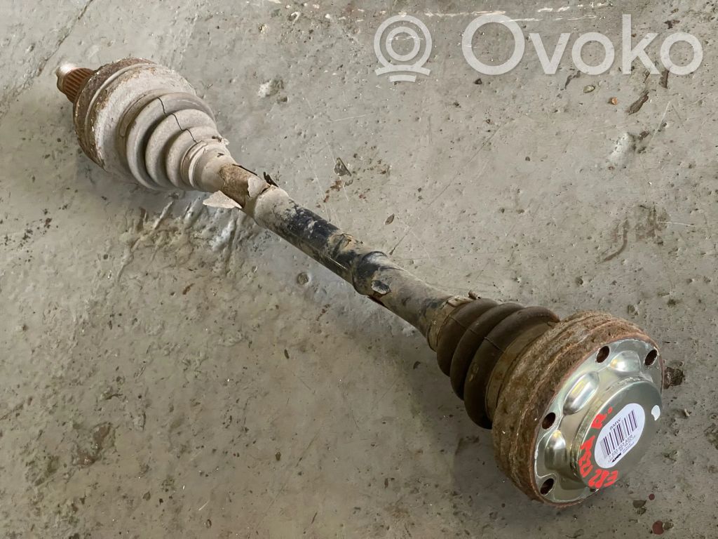 Aizmugurējā pusass   7533453