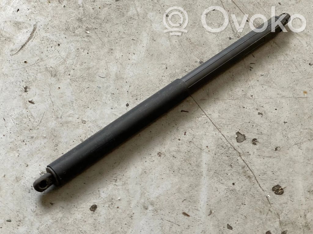 Tailgate/trunk strut/damper   7177283,6349ZFS710N