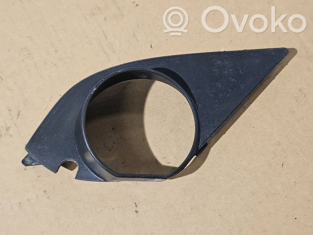 Under headlight/headlamp trim   7896603,1460915