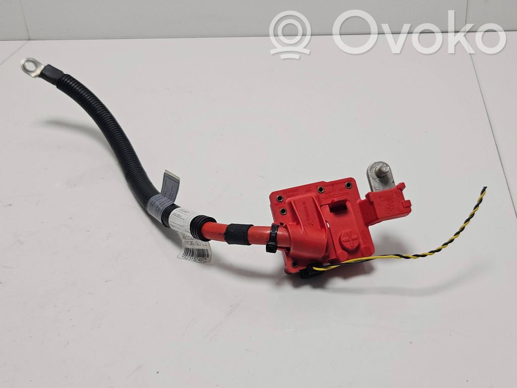 Positive cable (battery)   9217004,EEG63Y