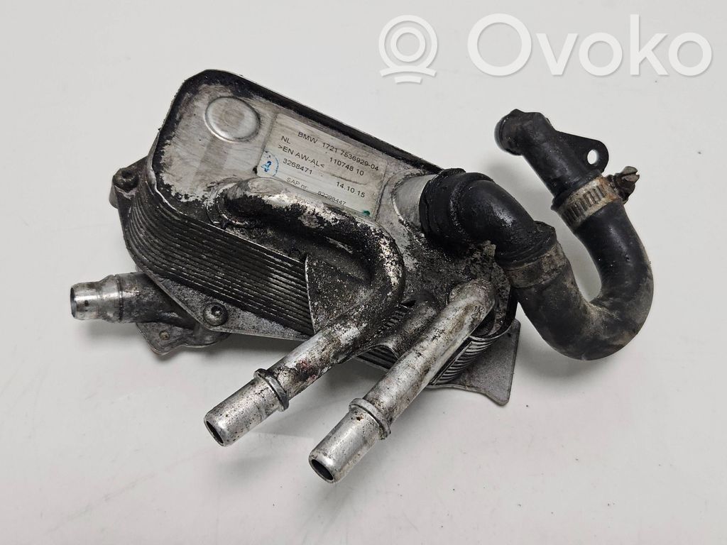 BMW 1 E82 E88 Engine oil radiator 