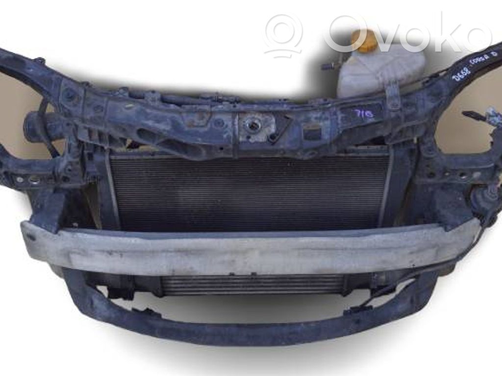 Radiatoru panelis   D658