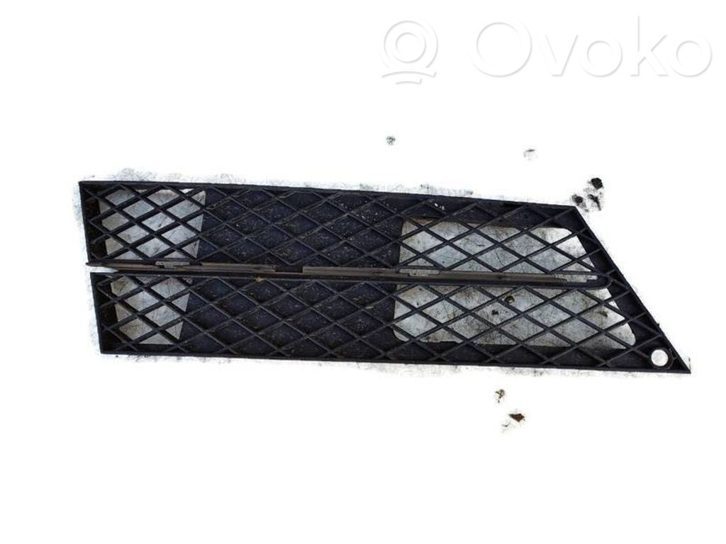 Kühlergrill   51117178