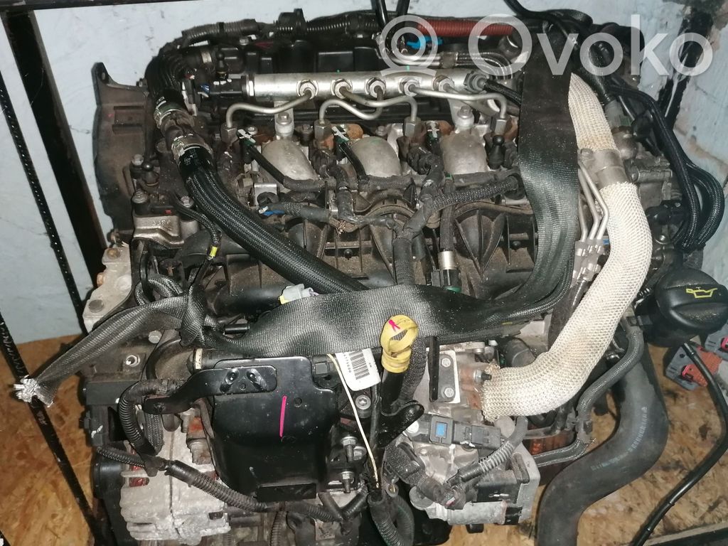 Motor   10DZ60