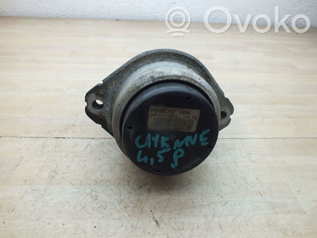 Porsche Cayenne (9PA) Engine mount bracket 