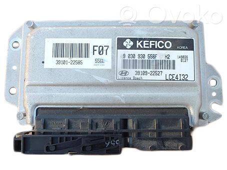 Hyundai Accent Engine control unit/module 