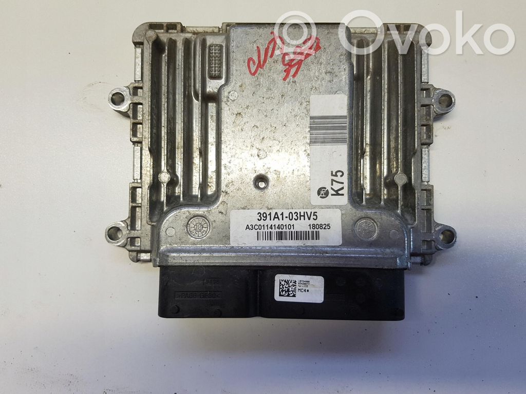Hyundai Ioniq Other control units/modules 