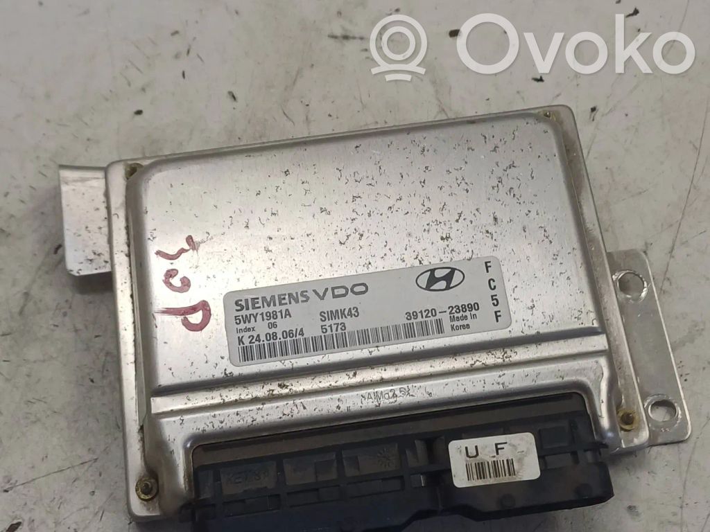 Hyundai Trajet Engine control unit/module 