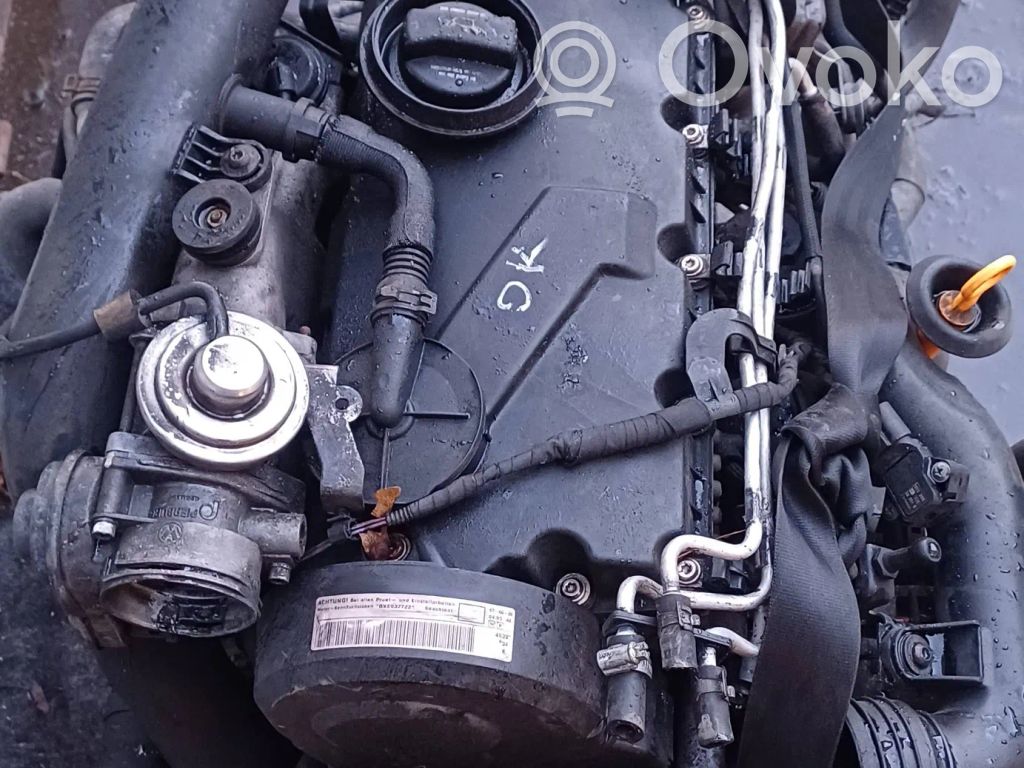 Volkswagen Golf IV Motor 