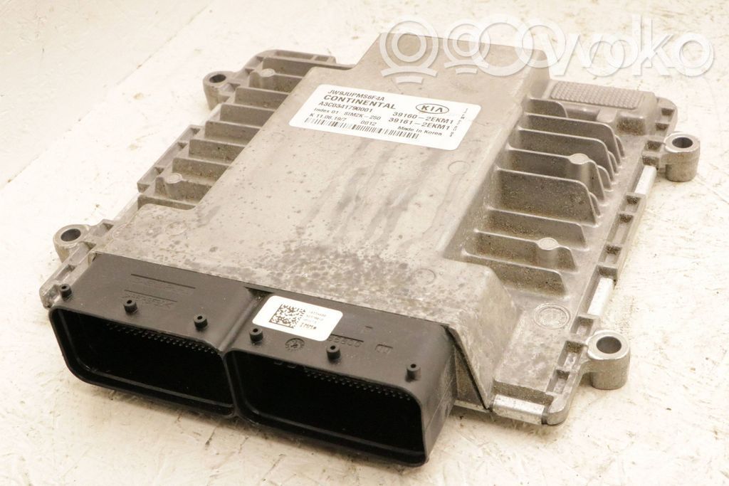 Engine control unit/module   391602EKM1,391612EKM1,A3C0341790001,391612EKM1,A3C0341790001