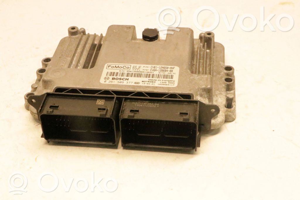 Ford Focus Engine control unit/module 