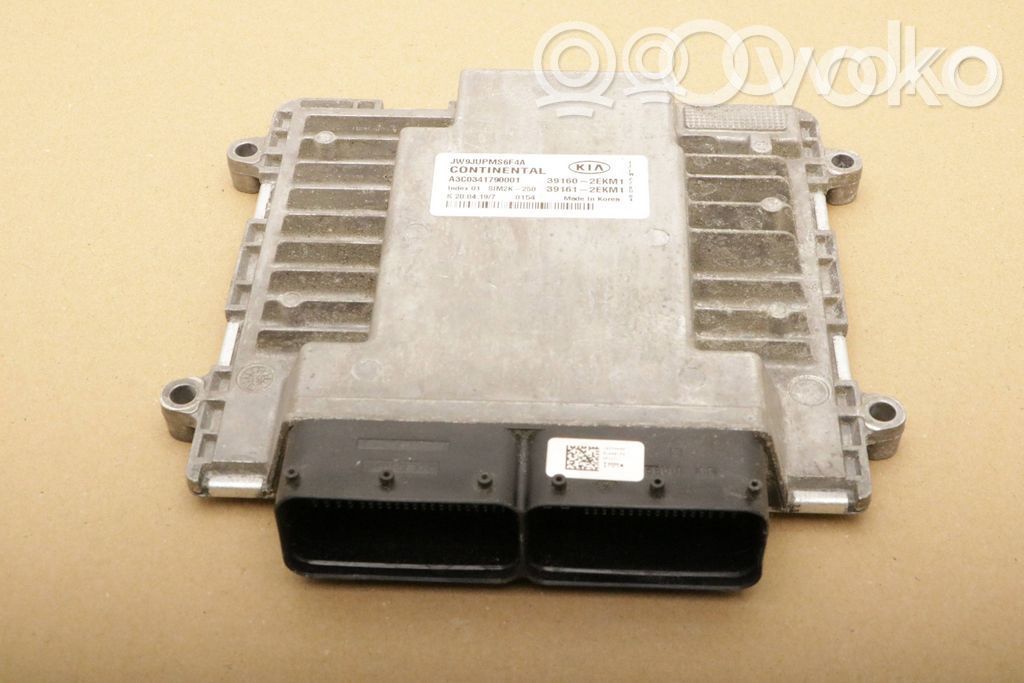 KIA Optima Engine control unit/module 