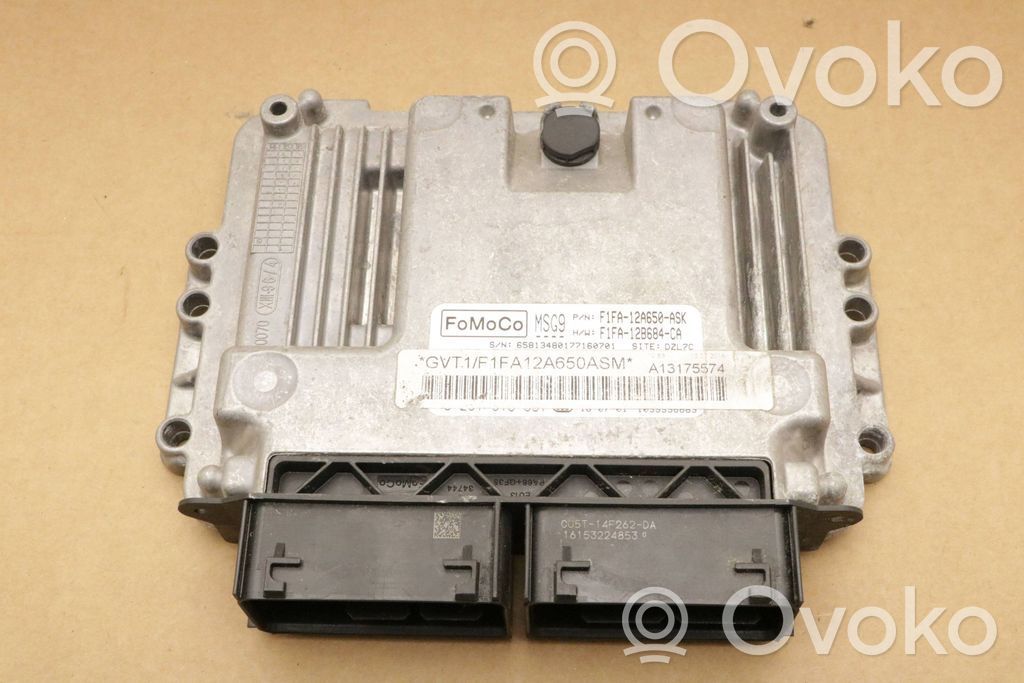 Ford Focus Engine control unit/module 