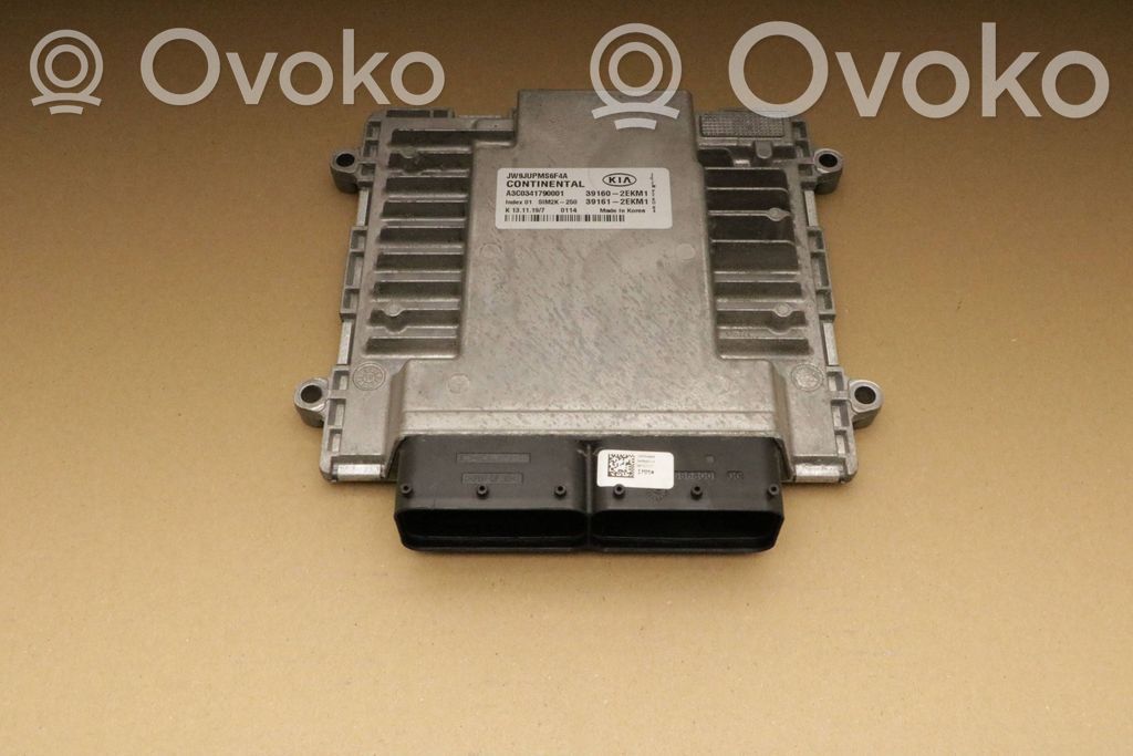 KIA Optima Engine control unit/module 