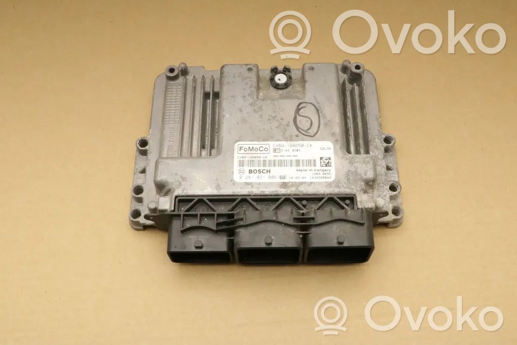 Ford Focus Engine control unit/module 