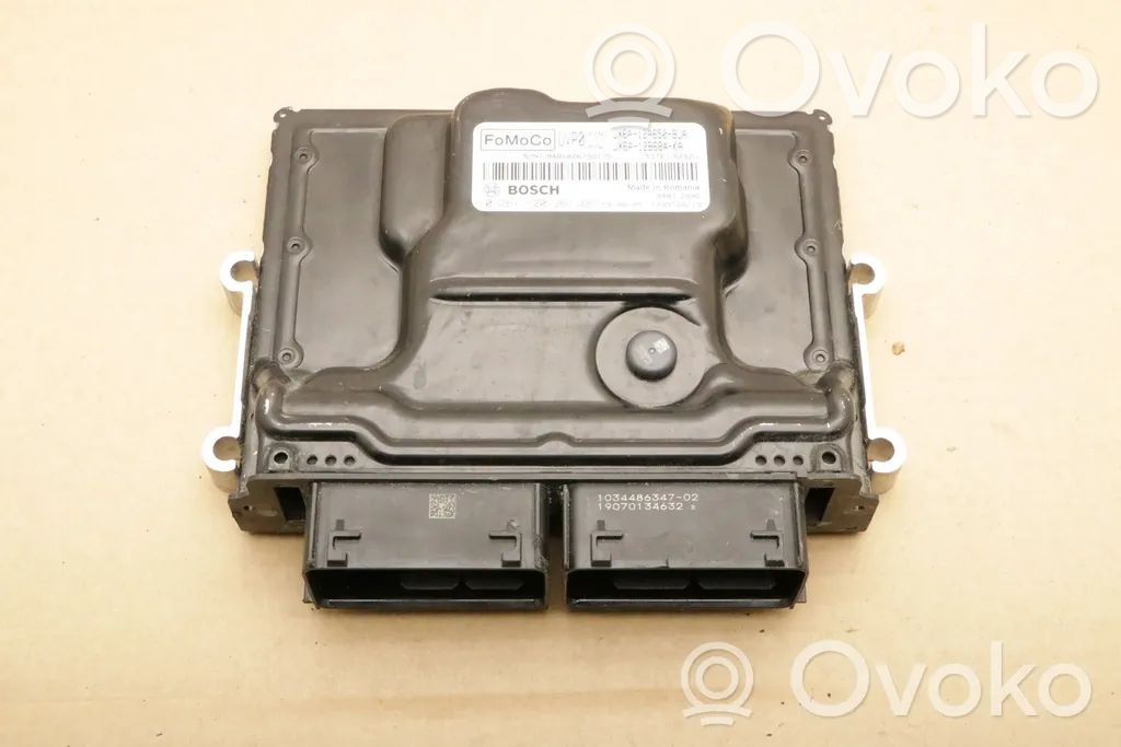 Ford Focus Engine control unit/module 