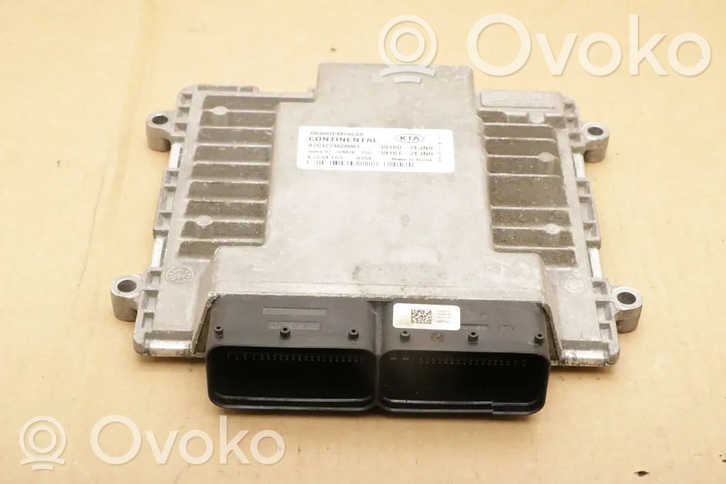 KIA Optima Engine control unit/module 