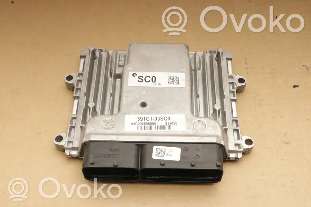 Engine control unit/module   391C103SC0,3919803HC0,3919803HC0