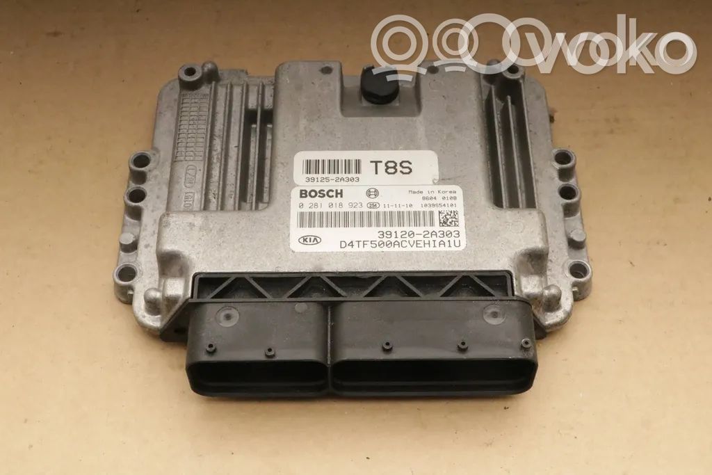 KIA Optima Engine control unit/module 