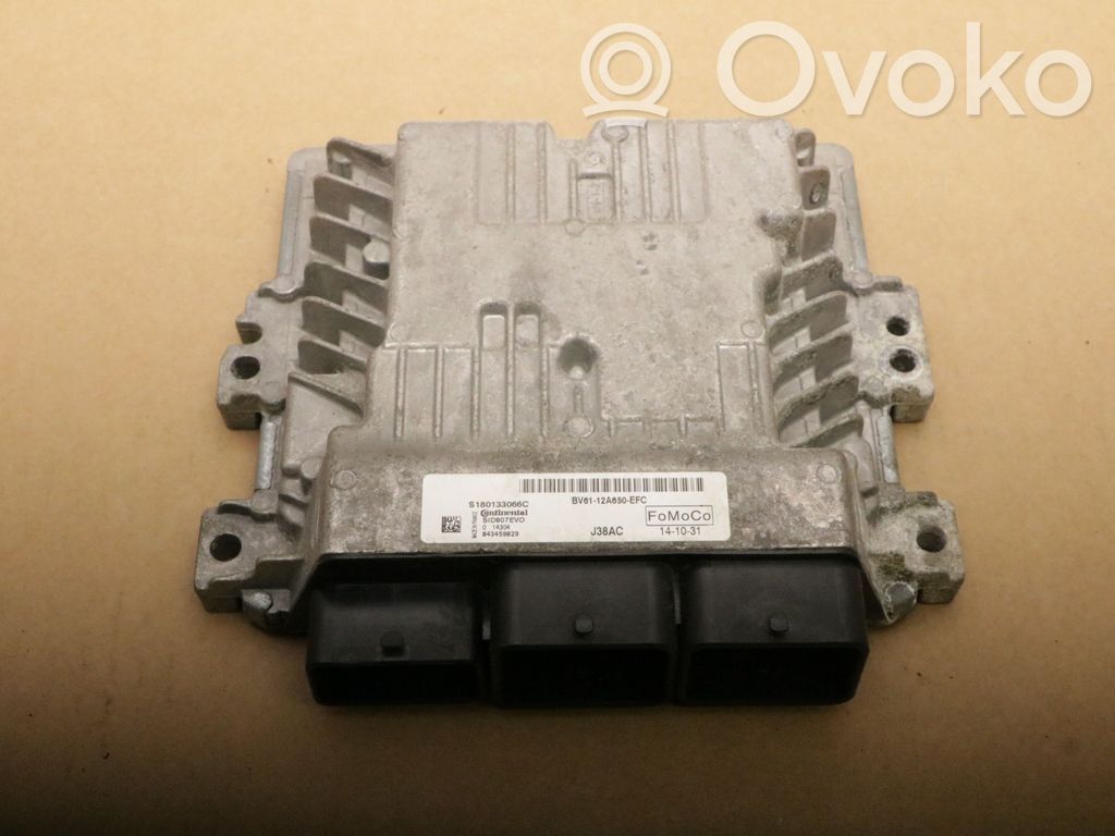Ford Focus Engine control unit/module 