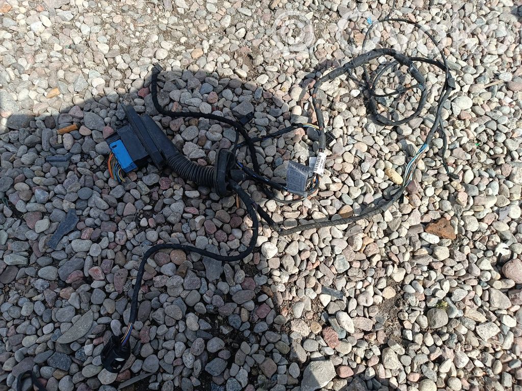 Cableado de puerta trasera   9163149