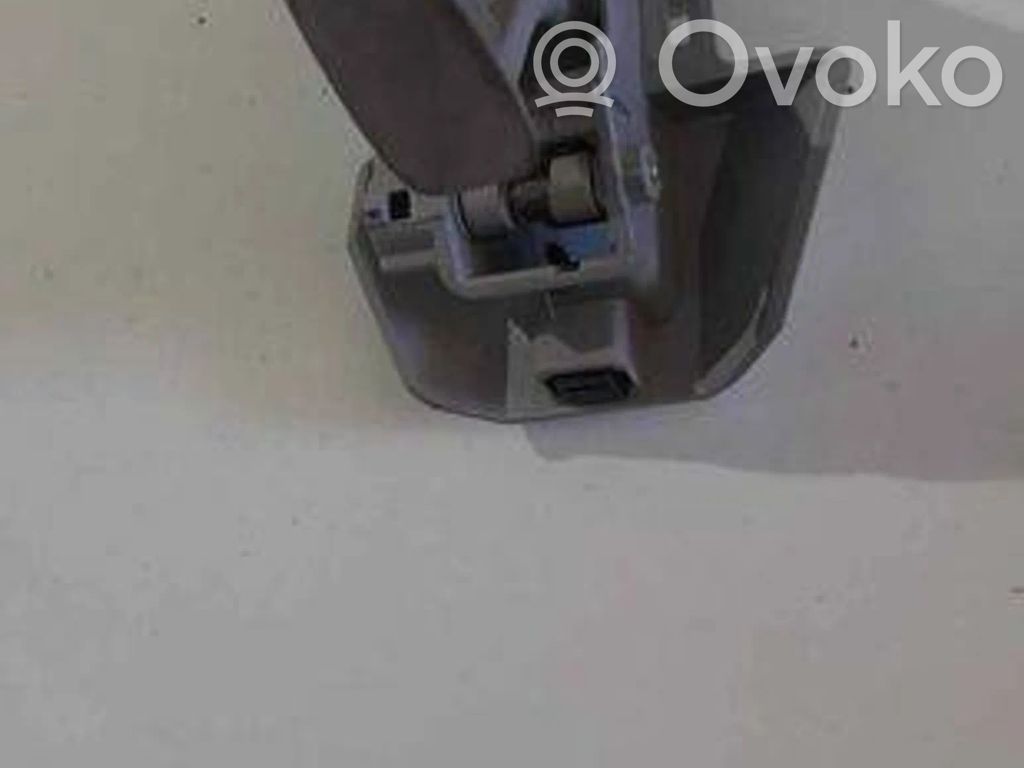 Tesla Model 3 A set of handles for the ceiling 