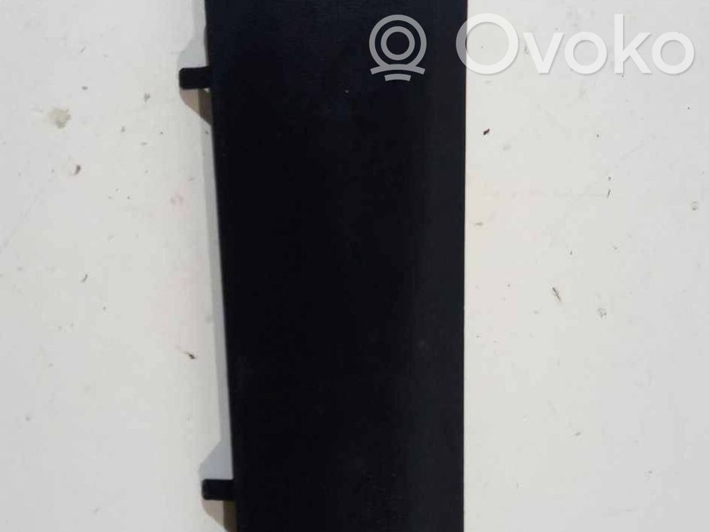 Tesla Model Y Capac stâlp (A) 