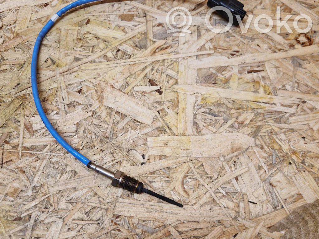 Ford Fiesta Exhaust gas temperature sensor 