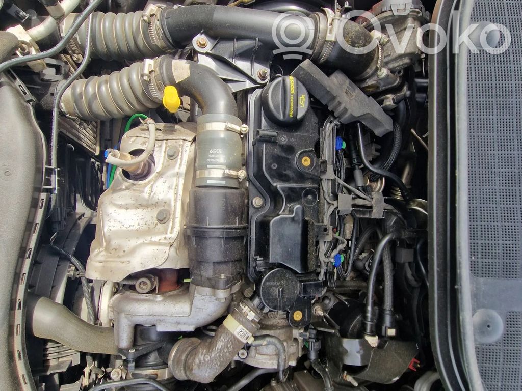 Motor   XUJN