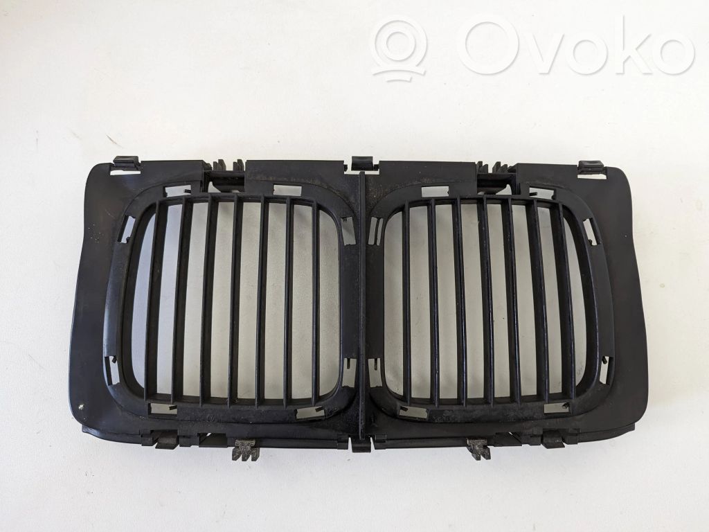 Front grill   51131973825