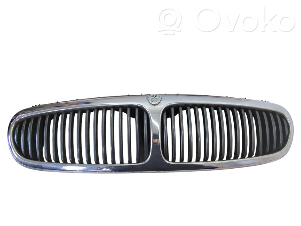 Front grill   2738P01,1X435510AB