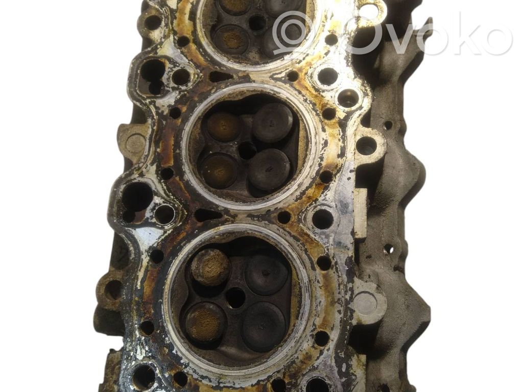 Galvutė   K8101