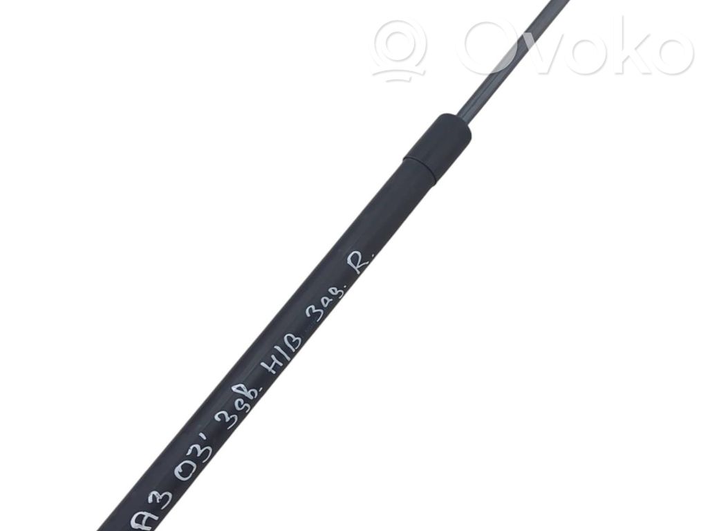 Audi A3 S3 8P Tailgate/trunk strut/damper 