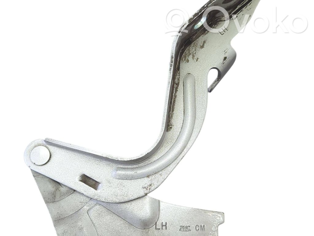 Hyundai Santa Fe Engine bonnet/hood hinges 