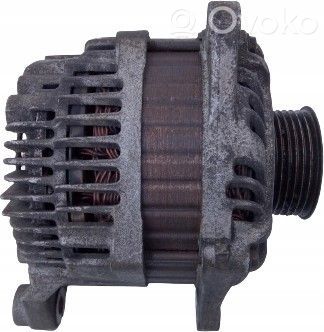 Generatorius   23100EG010