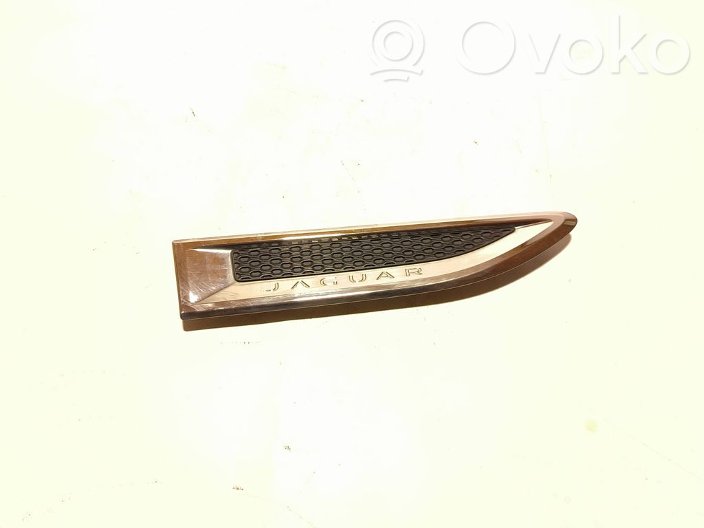 Fender grill   J9C3280B10AB