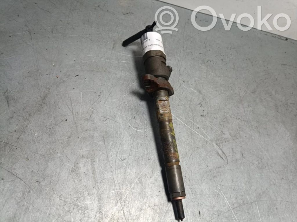 Ford Focus Sprausla (-i) 