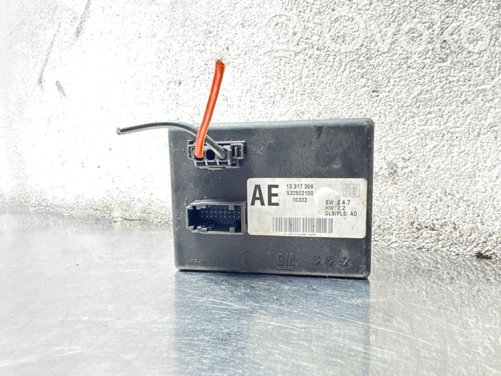 Module d'éclairage LCM   13317368,10333,532502100