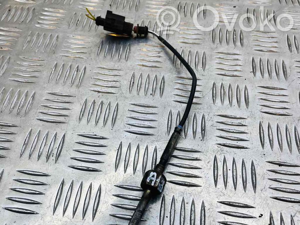 Volkswagen Crafter Izplūdes gāzu temperatūras sensors 