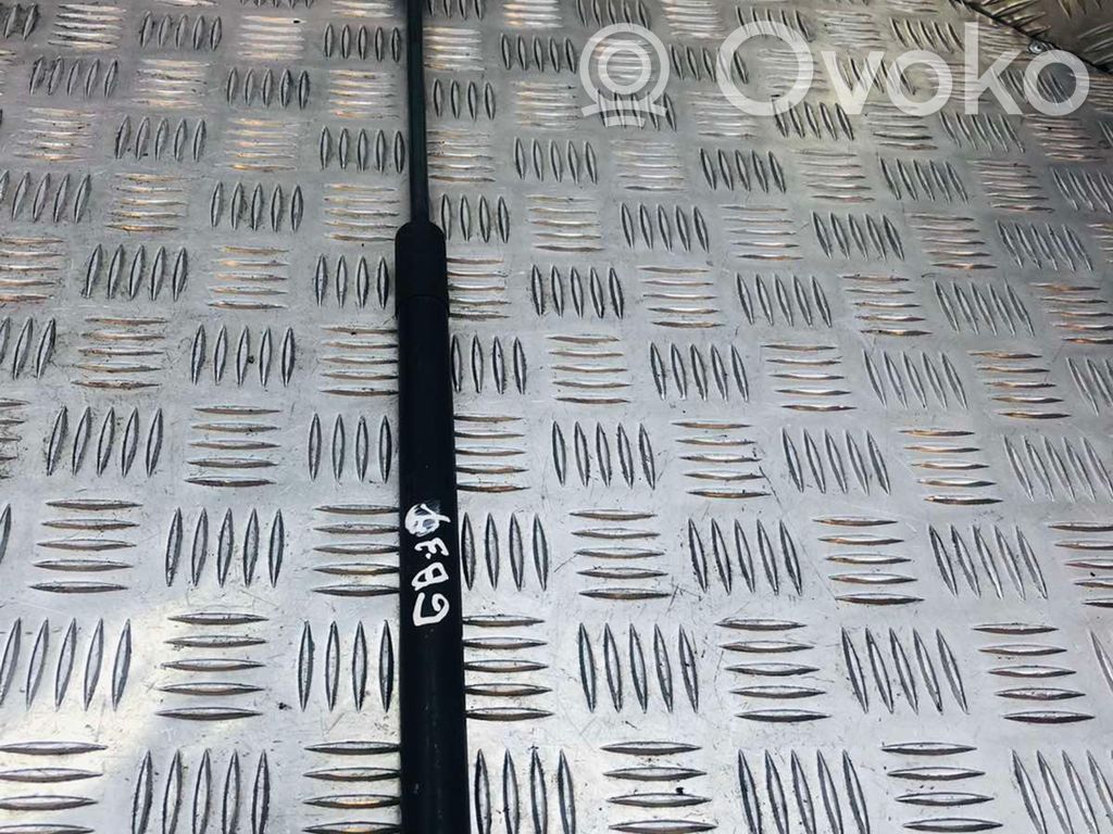 Audi A1 Tailgate/trunk strut/damper 