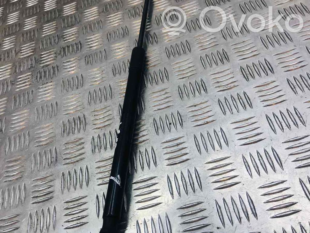 Audi A1 Tailgate/trunk strut/damper 