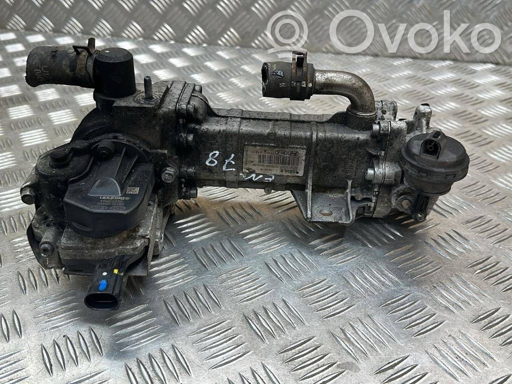 KIA Ceed Refrigerador de la válvula EGR 
